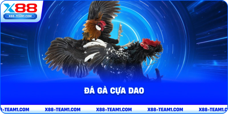 da-ga-cua-dao